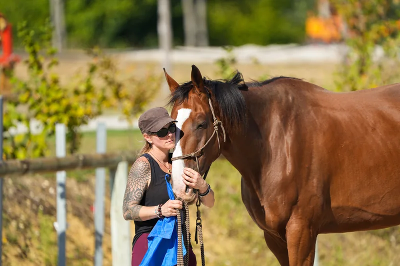 Nathalie auprès d’un cheval, tenant doucement son licol.